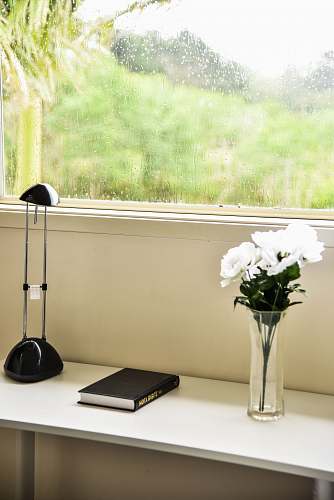 home decor white rose flowers in clear glass vase table